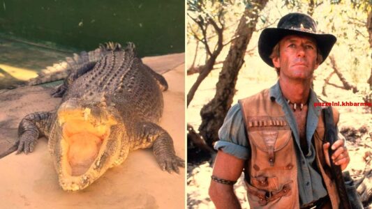 Wie speelde de titelrol in de film ‘Crocodile Dundee’ (4.5) letters