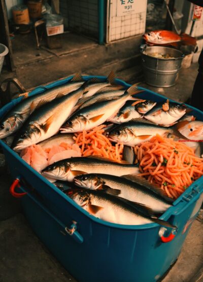 Deze kabeljauwachtige noordzeevis wordt vaak gebruikt als kattenvoer. (6) letters