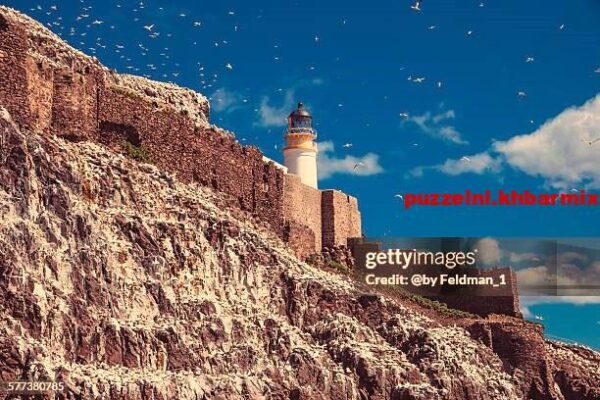 Het geschreeuw van engelsen achter de file in de griend (7)