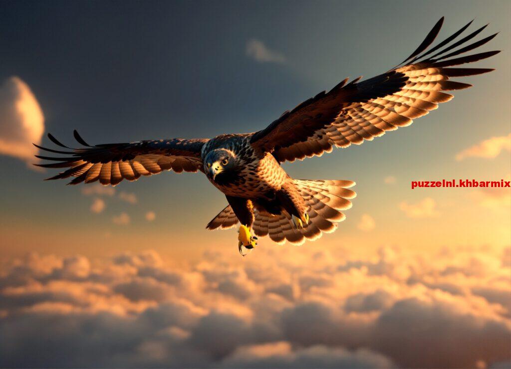 Welke roofvogel is het symbool van de provincie Flevoland (10)