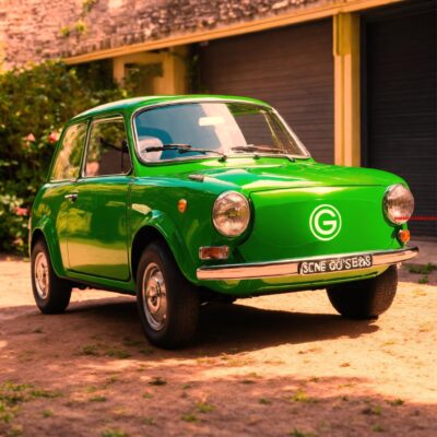 Wie dit in Italië uit autoraam gooit of in natuur achterlaat riskeert celstraf. (4) letters