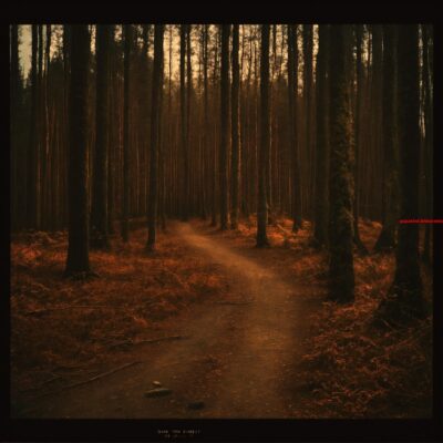 Wie zover ging om de strook in het bos te zien liep oponthoud op. (10) letters