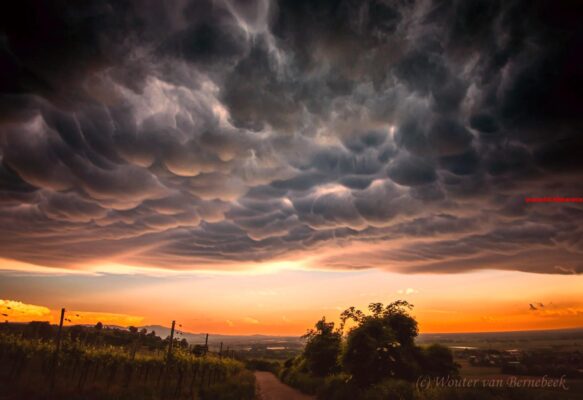 Wolkentype dat op middelbare hoogte voorkomt (11)
