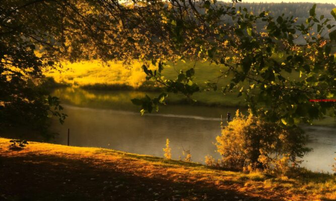 Dit water loopt van Delft naar Delfshaven. (5) letters