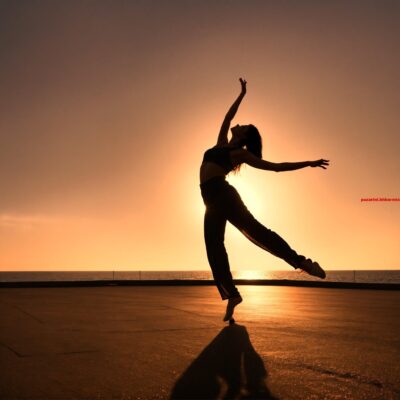 Hierin noteerde men vroeger met wie men zou gaan dansen. (9) letters