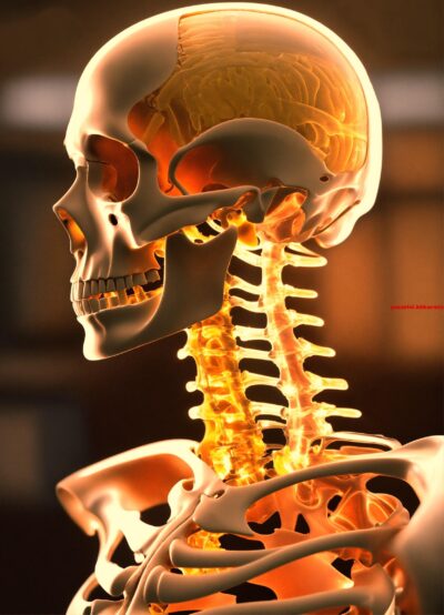 In welk deel van het lichaam kan een schisis voorkomen (8) letters