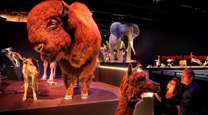 In welke stad staat het Naturalis Biodiversity Center? (6) letters