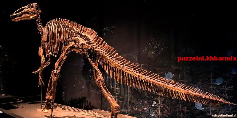 In welke stad staat het Naturalis Biodiversity Center? (6)