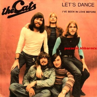 Deze Volendamse zanger werd bekend met The Cats (4,7) letters