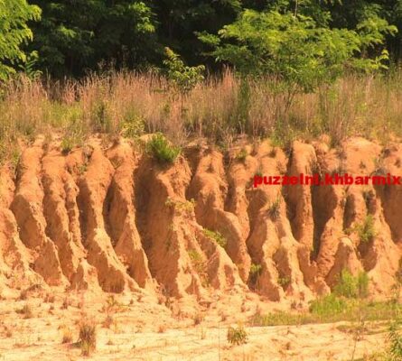 Hoe heet de vruchtbare geelbruine kleisoort in Limburg (4)
