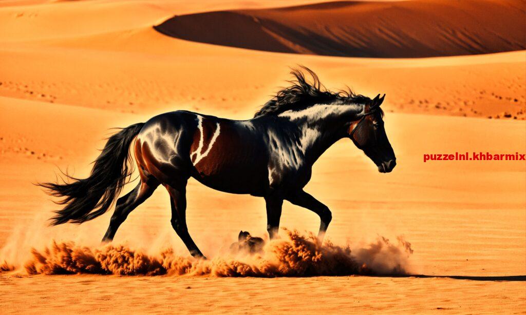 Hoe heet een zwart paard (4) letters