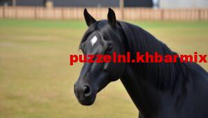 hoe-heet-een-zwart-paard-300x170 hoe heet een zwart paard |4 letters?