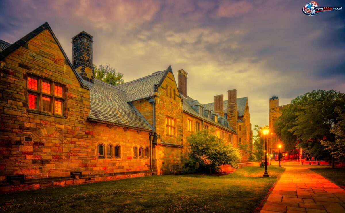 Amerikaanse universiteit in New Haven. (4) letters