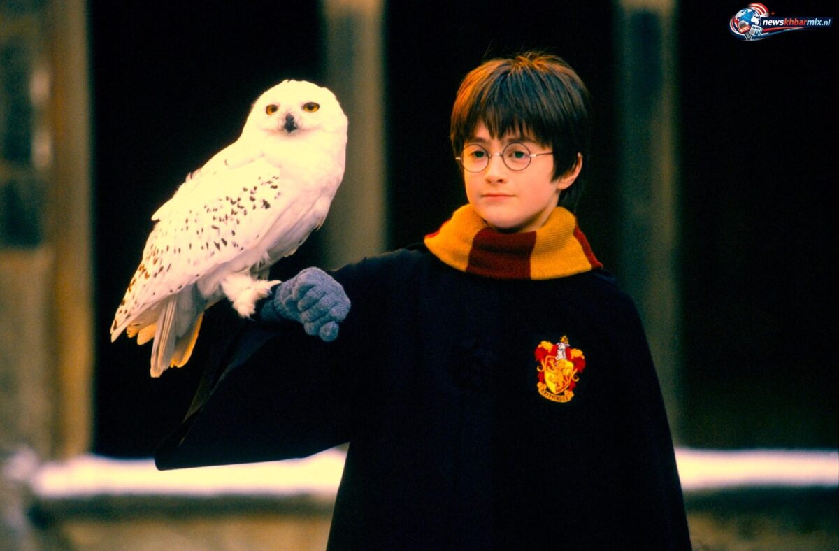 Hoe heet de uil van Harry Potter (6)