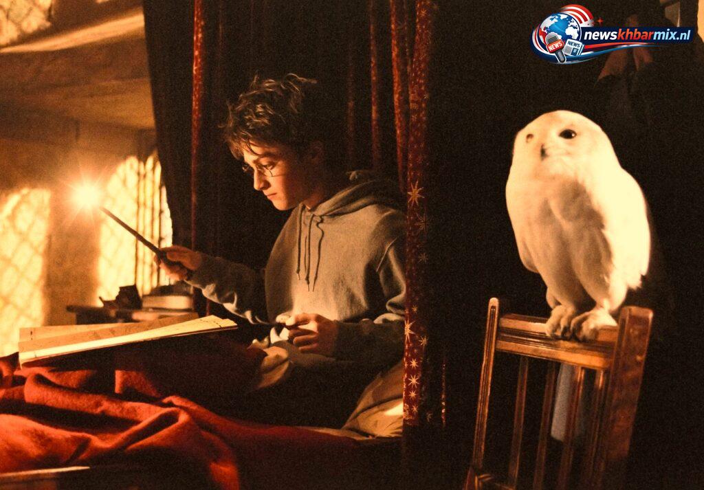 Hoe heet de uil van Harry Potter (6) letters