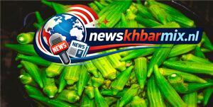 Deze Afrikaanse vruchtgroente wordt ook wel ‘ladies’ fingers’ genoemd. (4) letters? Puzzels opgelost 25-26 april 2026