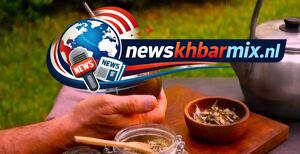 Hoe heet de Zuid-Amerikaanse volksdrank, ook wel Paraguay-thee genaamd? (4) letters Puzzels opgelost 25-26 april 2026