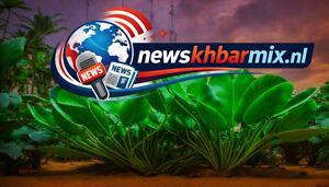 Plantengeslacht waartoe de vijg wordt gerekend. (5) letters? Puzzels opgelost 18-19 april 2026