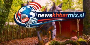 Wat is de naam van een mythologisch monster met zes hondenkoppen? (6) letters Puzzels opgelost 25-26 april 2026