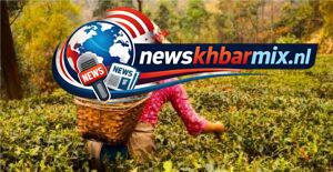 Welke Indiase deelstaat is bekend om zijn theeplantages? Het is ook de benaming voor een soort zwarte thee. (5) letters Oplossingen puzzels 20 april 2026