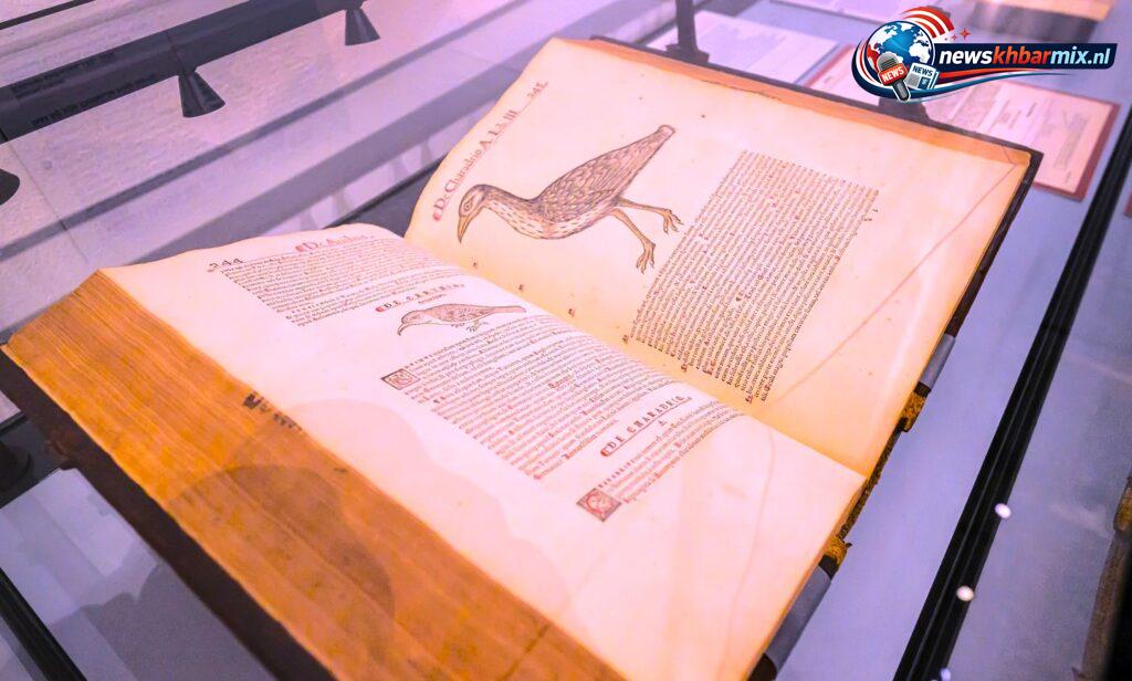 In-het-Noord-Hollands-archief-is-te-zien-hoe-de-flora-en-fauna-er-in-het-verleden-uitzag.-Met-welke-zoogdieren-zat-de-Noordzee-ooit-vol-9-1024x616 In het Noord-Hollands archief is te zien hoe de flora en fauna er in het verleden uitzag. Met welke zoogdieren zat de Noordzee ooit vol? (9) letters Puzzels opgelost 7 mei 2026