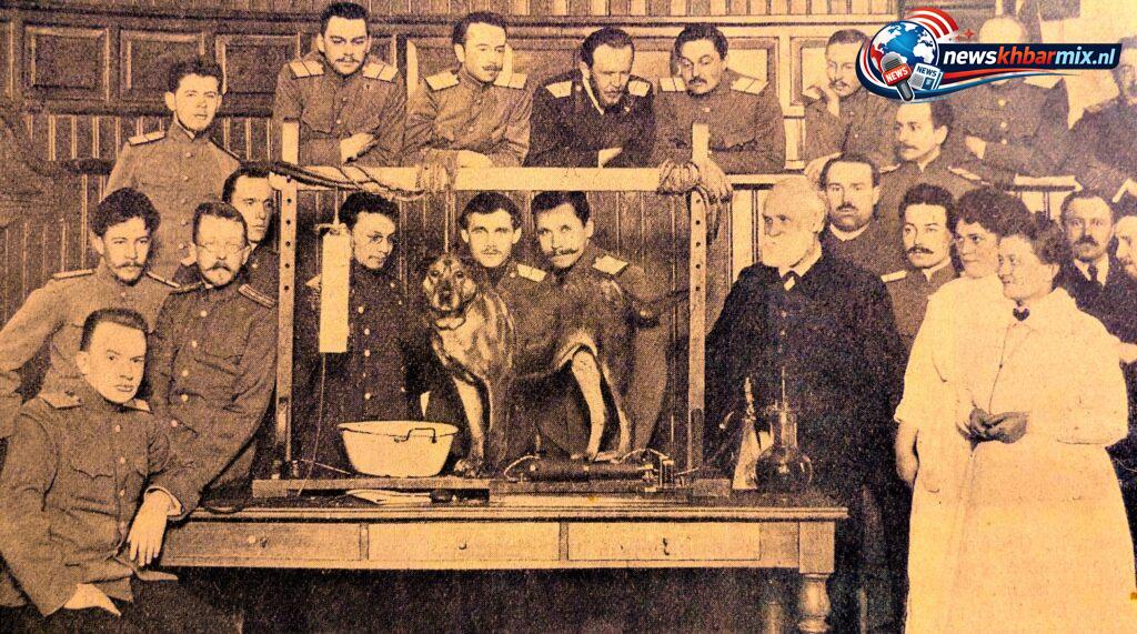 Welke-Nobelprijswinnaar-gebruikte-honden-bij-onderzoek-naar-reacties-op-prikkels-6-1024x571 Welke Nobelprijswinnaar gebruikte honden bij onderzoek naar reacties op prikkels? (6) – puzzel antwoord