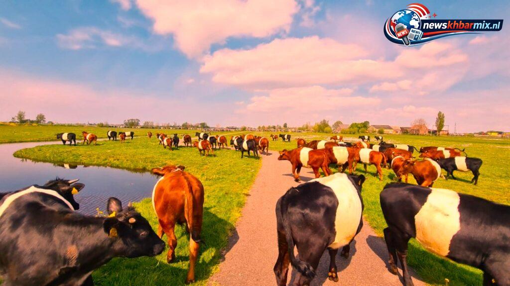 Boerderij waar zowel veeteelt als akkerbouw plaatsvindt. (7,6)