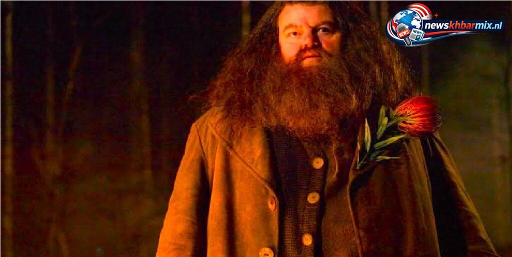 Wat is hagrid in de harry potter-boeken voor iemand (4)