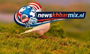 Welke-dieren-worden-ook-wel-vliegende-ratten-genoemd-6-300x180 Welke dieren worden ook wel vliegende ratten genoemd? (6) letters Antwoorden puzzels 4-5 juli 2026