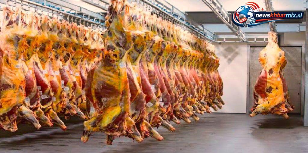 Hoe heet een stuk rib met vlees van een geslacht varken (9)
