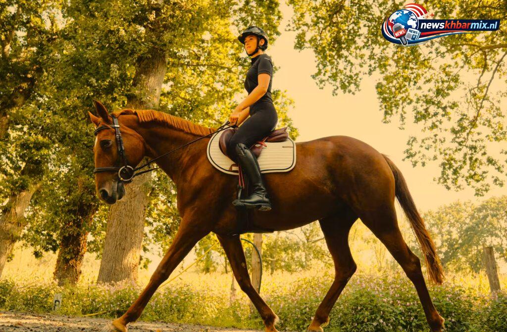 Waar kun je leren paardrijden en eventueel je paard stallen (6)