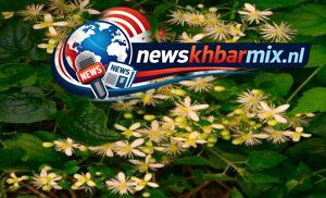 Wat is de volksnaam van de clematis (7)